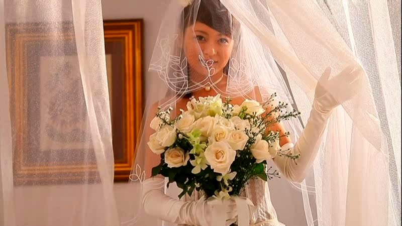 新しい光 阪本麻美