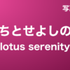 ちとせよしの『lotus serenity』写真集
